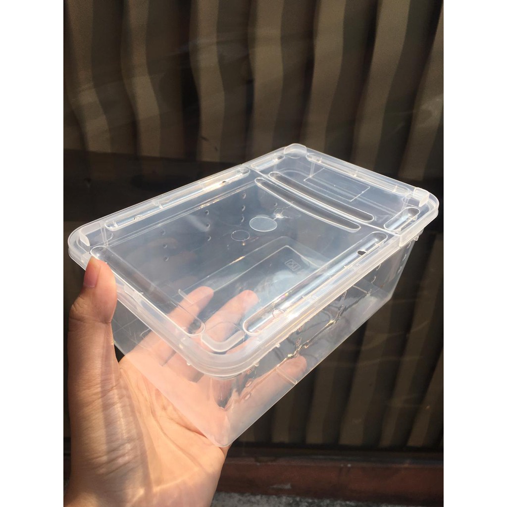 Petbox/Carrier Transparent transparan Box Kandang Reptil Size Small