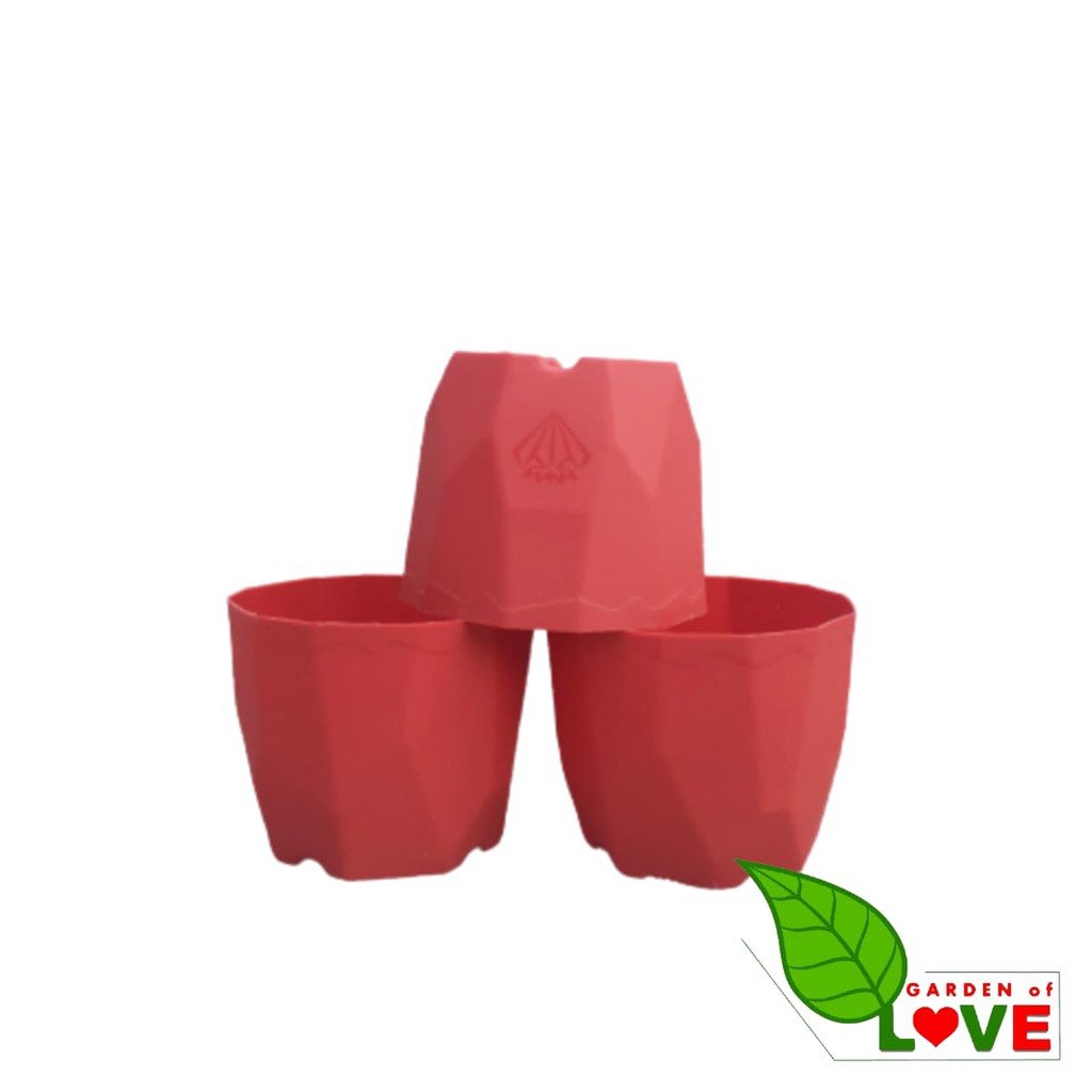 Pot Permata 12 Da 10.5cm Warna Warni Merah Bata Putih Pot Kaktus Mini Murah Bkn Pot Tawon 10 12