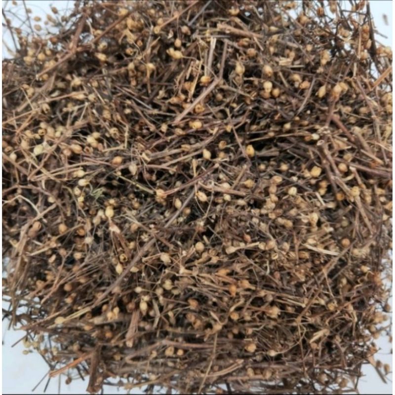 

TAN CHAO / MO TAN CHAO / RUMPUT HERBAL Tipes 35gr