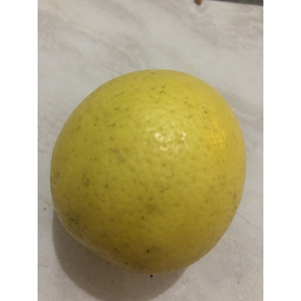 

Jeruk Lemon