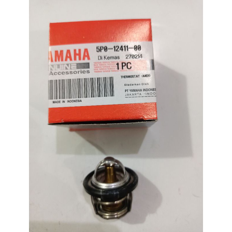 Thermostant Xeon R25