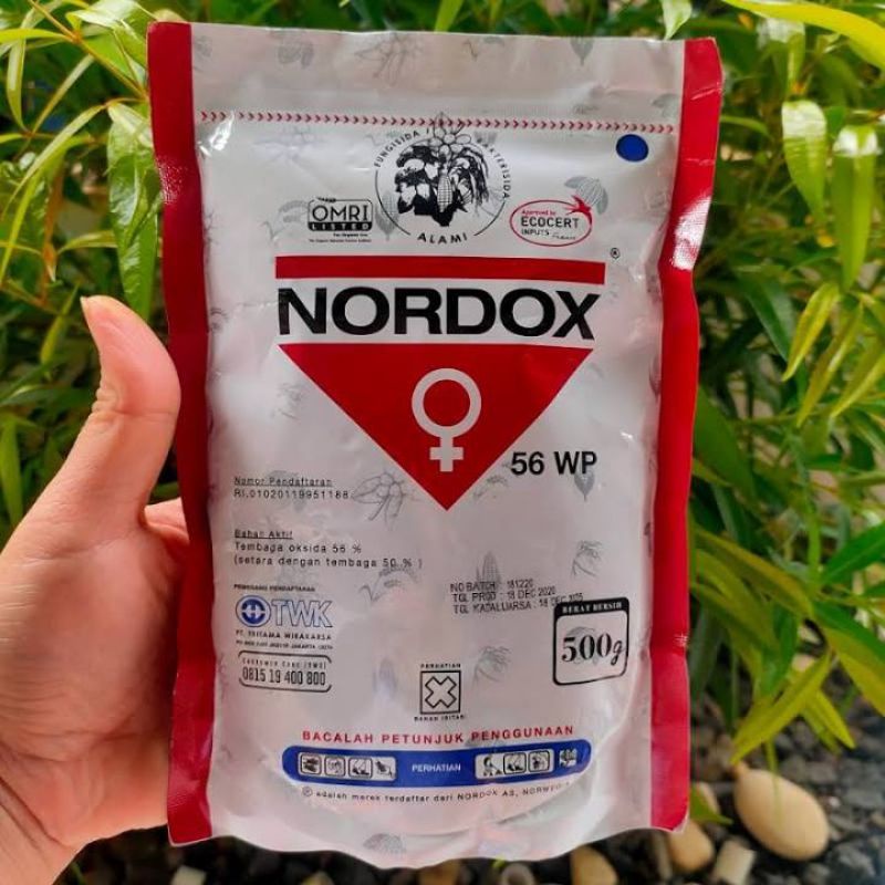 Nordox56wp