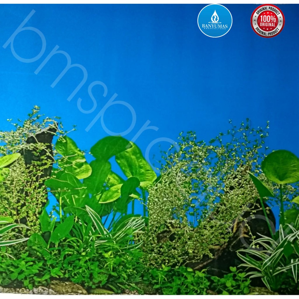 Background Aquarium Bolak Balik Shopee Indonesia