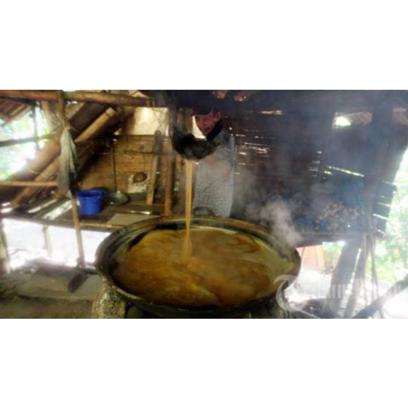

gula aren asli