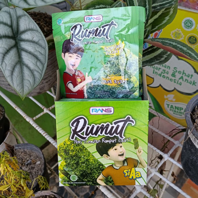 RUMUT NORI CEMILAN RUMPUT LAUT