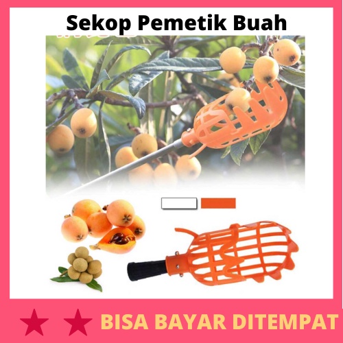 Sekop Pemetik Buah Garden Fruit Picker Tool / Alat Bantu Galah Sekop Tongkat Panen Pemanen Sodokan B