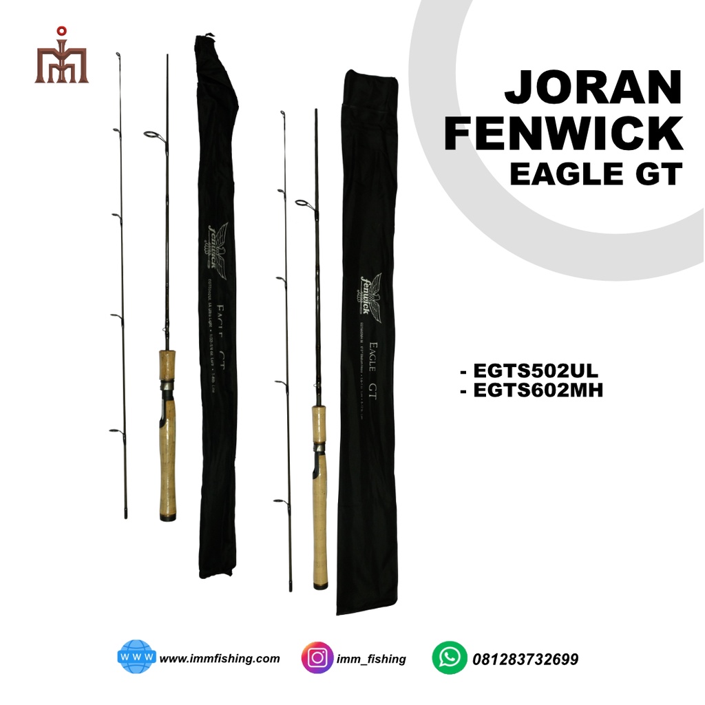 JORAN FENWICK EAGLE GT