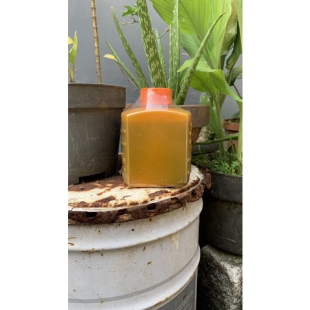 

Madu hutan sialang isi bersih 500g