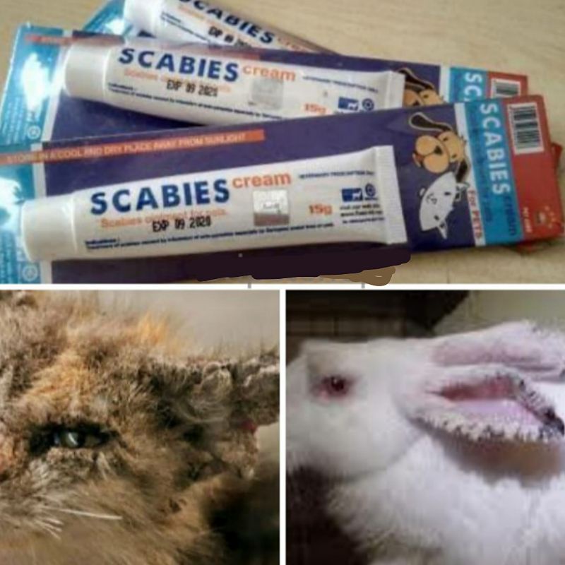 Raid All Saleb Cream Jamur/Scabies Kucing Anjing Kelinci Hamster