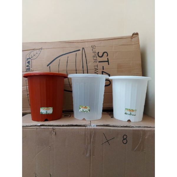 YOGAP 15 LUSINAN (ISI 12 PCS)