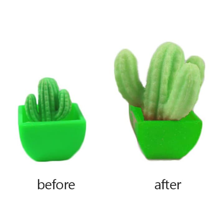 Growing in Water Cactus Toys (6pcs)