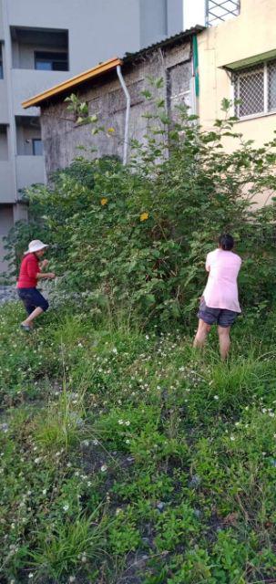 Maura Couple - Sania Ruffle Batik Couple Ori Ndoro Jowi Garansi Termurah Shopee -  Batik Modern Solo