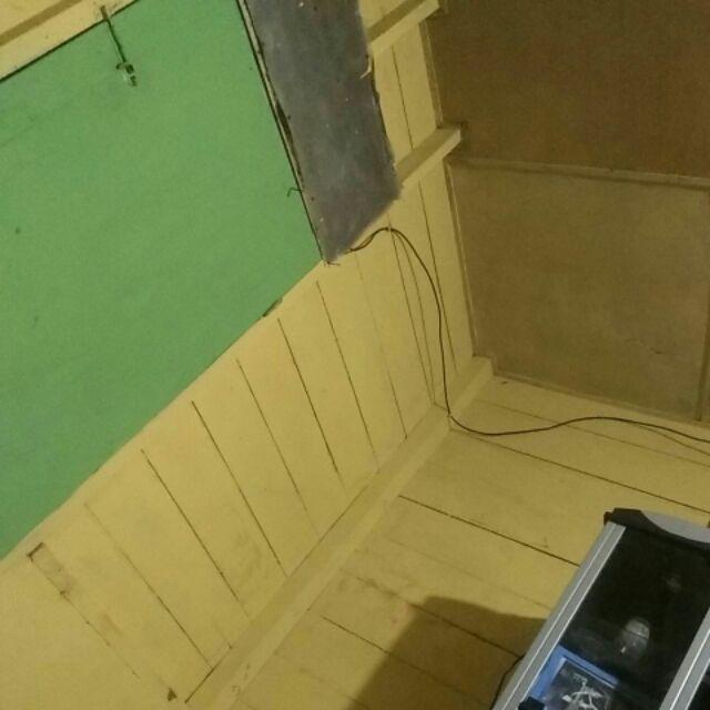 Paku Payung Pendek Pines Montana 10mm Tt 30 Per Box Isi 10 Pak Kecil