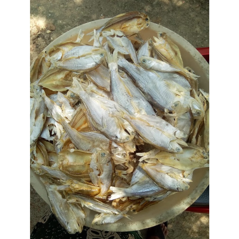 

GEREH BILIS/ IKAN ASIN/KERING BILIS/ IKAN BILIS