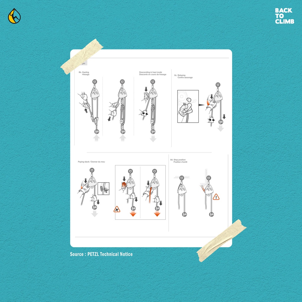 Petzl Maestro S dan L Descender Rescue Safety