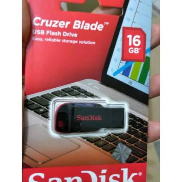 Flesdisk sandisk