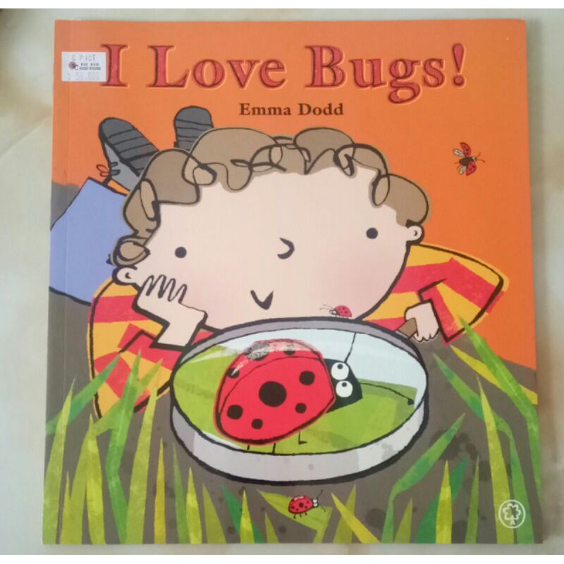 BBW Import Book " I Love Bugs "