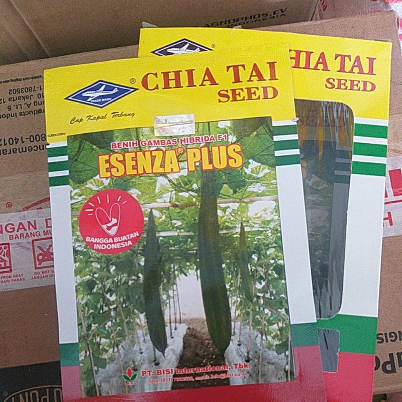 GAMBAS ESENZA PLUS 10 GRAM