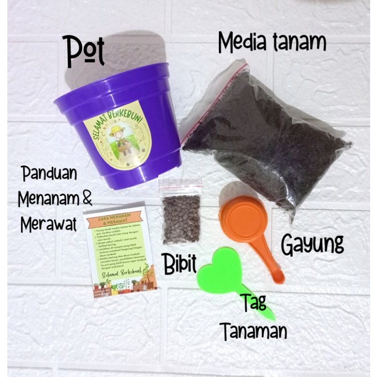 Mainan Edukasi DIY Berkebun Sayur dan Bunga Souvenir Ulang Tahun Anak