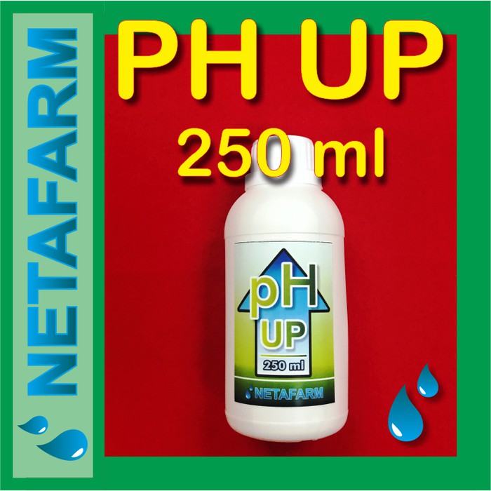 PH UP 250ml