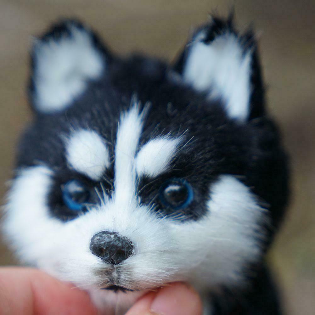 Jual Realistic Husky Dog Simulation Toy 