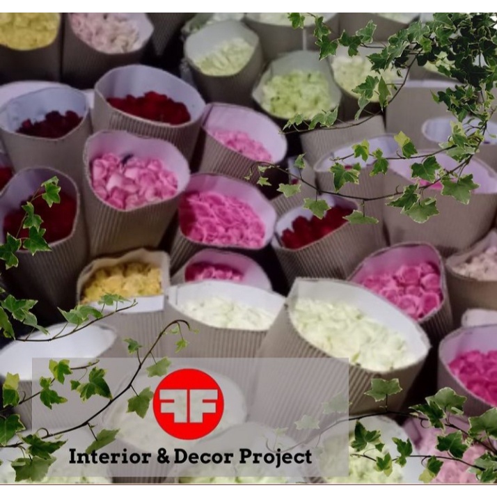 Bunga Potong Fresh Mawar Holland Grade B Per Kodi