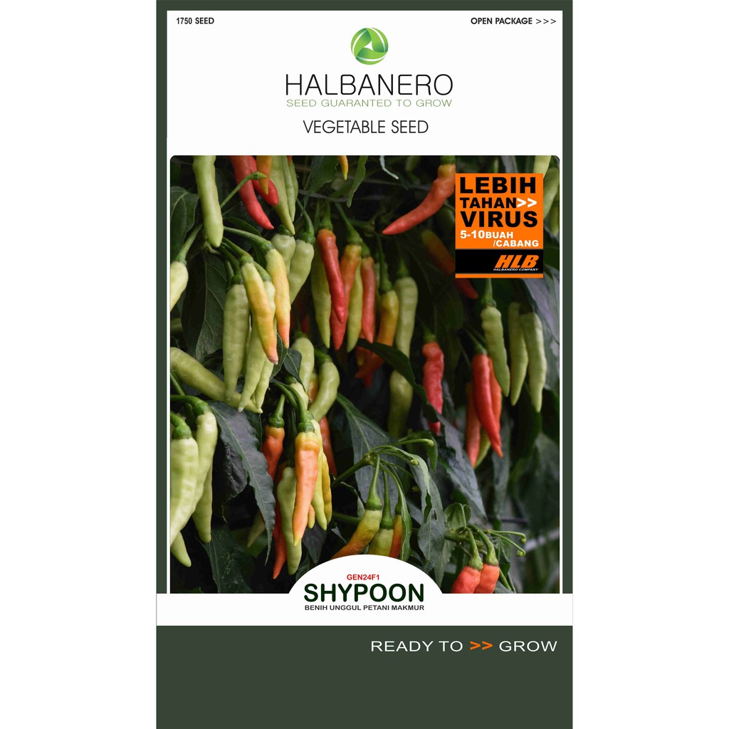 Benih Cabai Shypoon