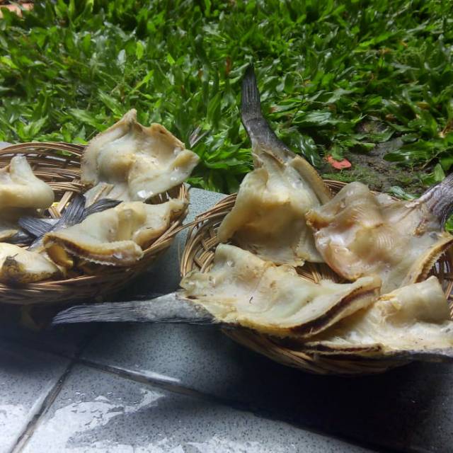 

IKAN ASIN GABUS/ IKAN ASIN HARUAN