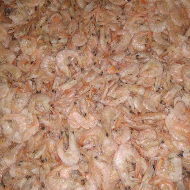 

Udang Jemur Kering