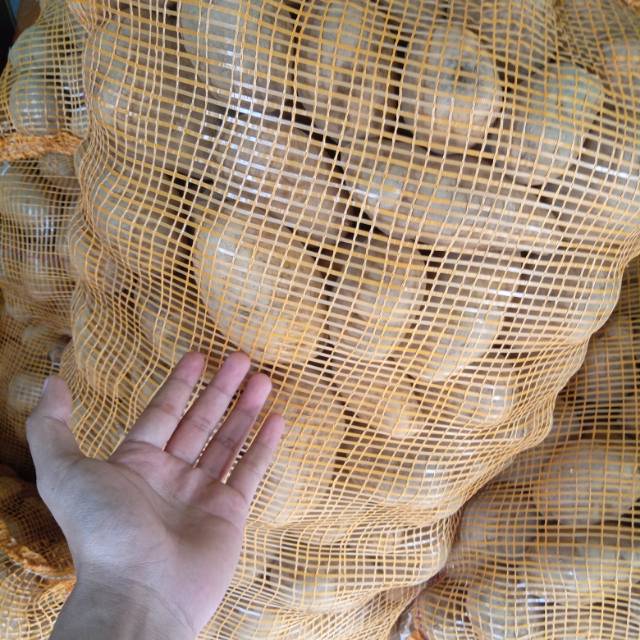 

KENTANG KUNING DIENG /500 GR