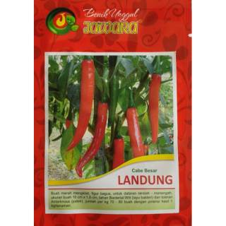 Benih Bibit Cabe Merah Besar LANDUNG 5 gr - Bibit Cabe