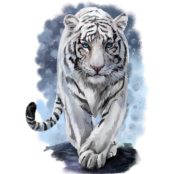 macan putih  + bingkai 45×65cm