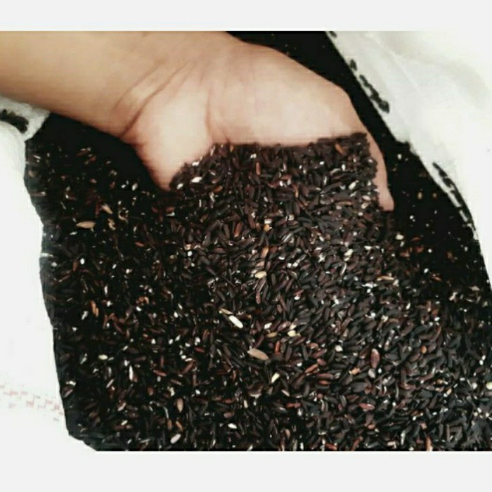 

KETAN-BERAS- KETAN HITAM SUPER/PK 1L -BERAS-KETAN.