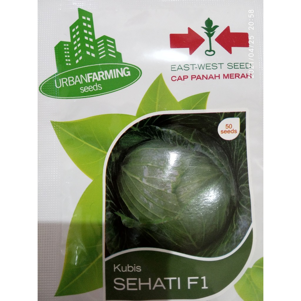 benih kubis sehati Cap Panah Merah isi 50 biji