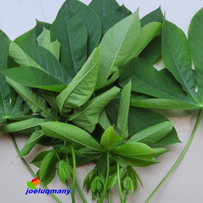 

Daun Singkong muda 100 gram
