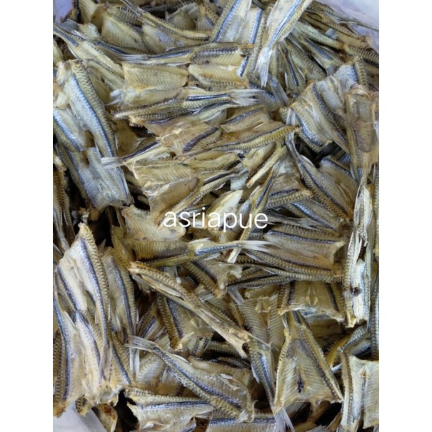 

Ikan tipis renyok tawar 100 gram