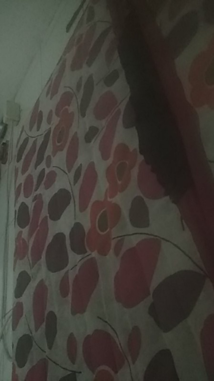 Kotak Makan 500ml Victory Food Box - Paket Hemat