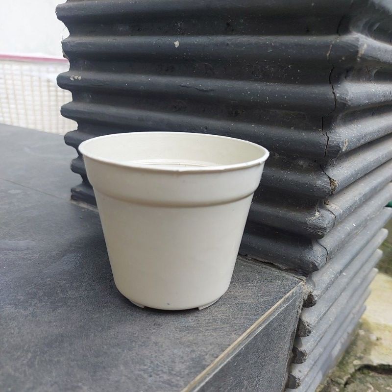 Pot Bunga GMP 8 Putih diameter 7,5 cm Kecil Mini Sekulen Sukulen Pot polos Kecil mini imut Kaktus souvenir Jogja Yogyakarta