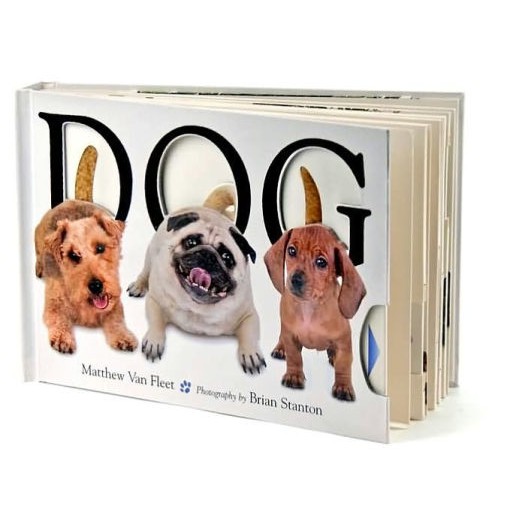 Dog by Matthew Van Fleet