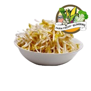 

Kecambah rawon 100gr