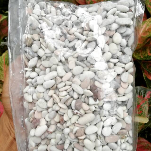 Batu hias 1kg , batu pancawarna , hiasan tanaman , hiasan akuarium
