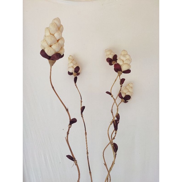 klobot jagung klobot jagung kering klobot jagung dekorasi klobot jagungBunga Klobot Kulit Jagung Bun