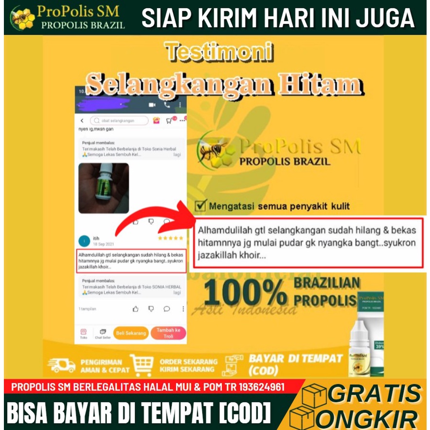 Salep Penghilang Selangkangan Hitam Akibat Jamur - Penghilang Gatel - Penghilang Bekas Kulit Lecet - Propolis SM 100% Original Alami-1