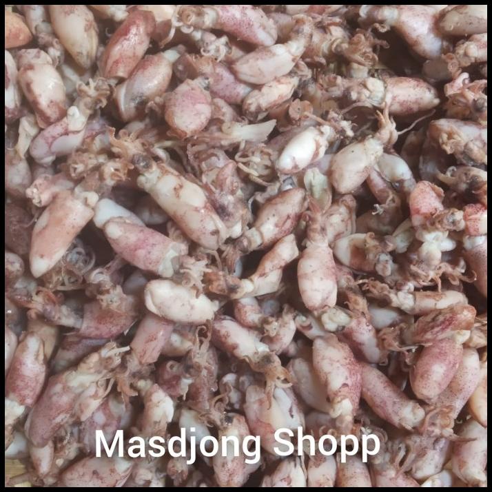 

Cumi Baby Asin (1000Gr/1Kg).
