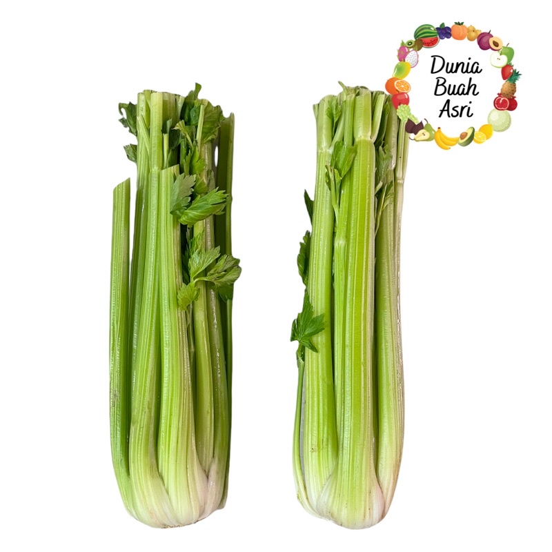 

Celery Import 1 Pcs