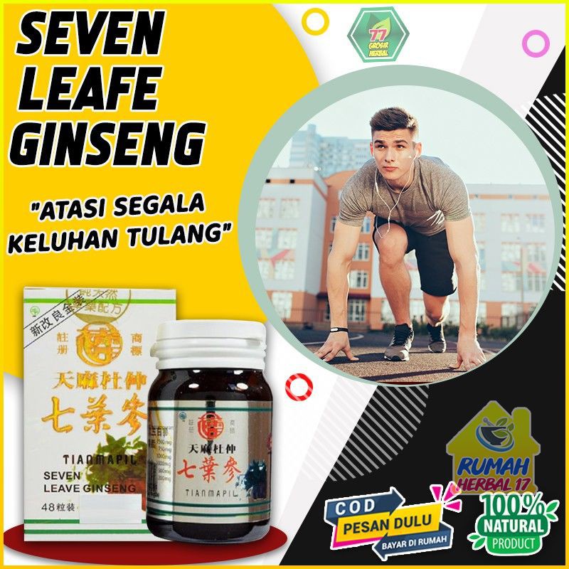 [BAYAR DI TEMPAT] Seven Leave Ginseng Original – Obat Herbal Rematik Pegal linu Nyeri