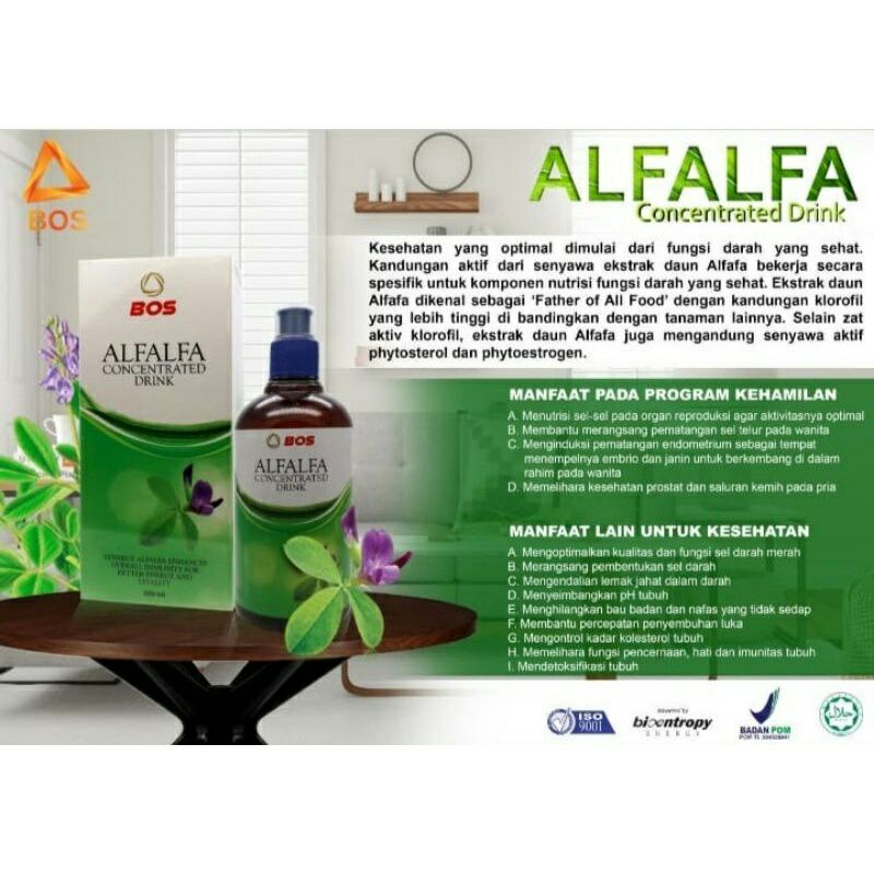 Herbal Promil Alfalfa | 100% Original