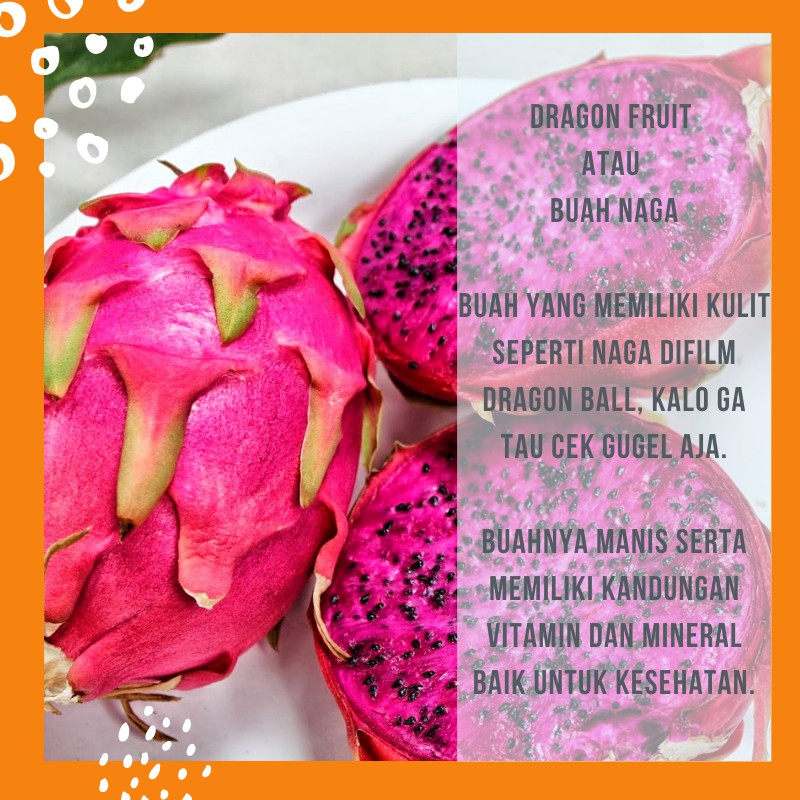 

Buah Naga Segar Fresh Dragon Fruit Fresh Premium