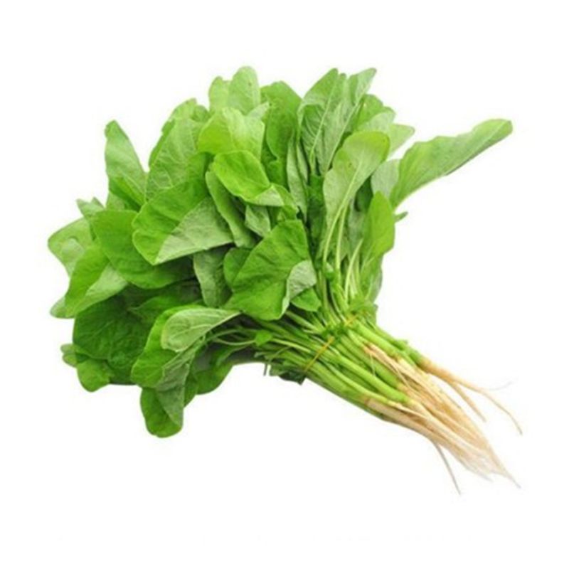 

Bayam Sayur Bayam 1 ikat