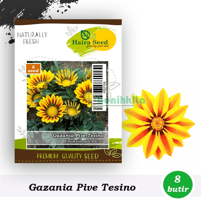 Benih-Bibit Bunga Gazania Pive Tesino (Haira Seed)